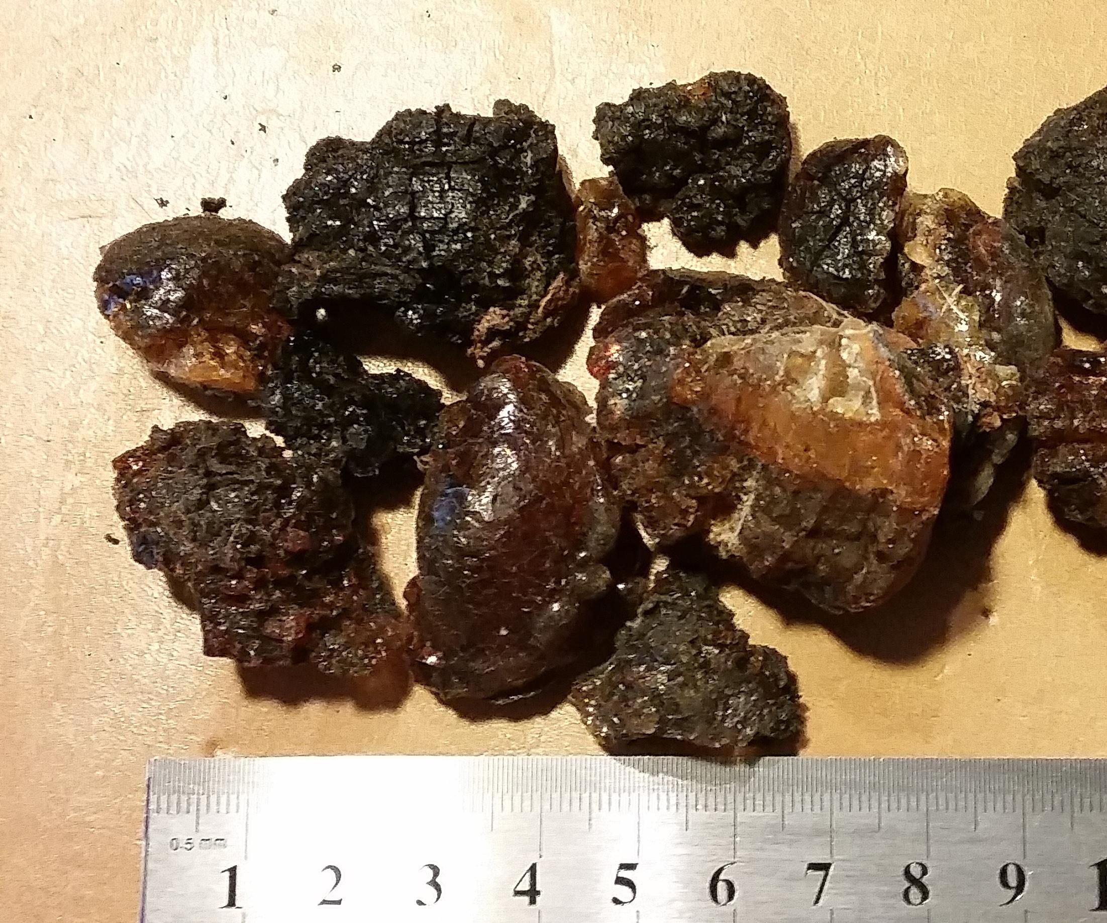 DIY Flower Seed Cards From Cherry Tree Resin Gum (Kirschgummi)