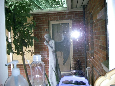 Doctor Who 'Weeping Angel' Halloween Decoration