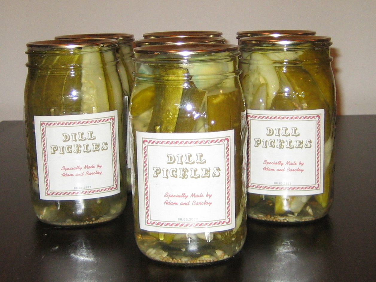 Making Dill Pickles