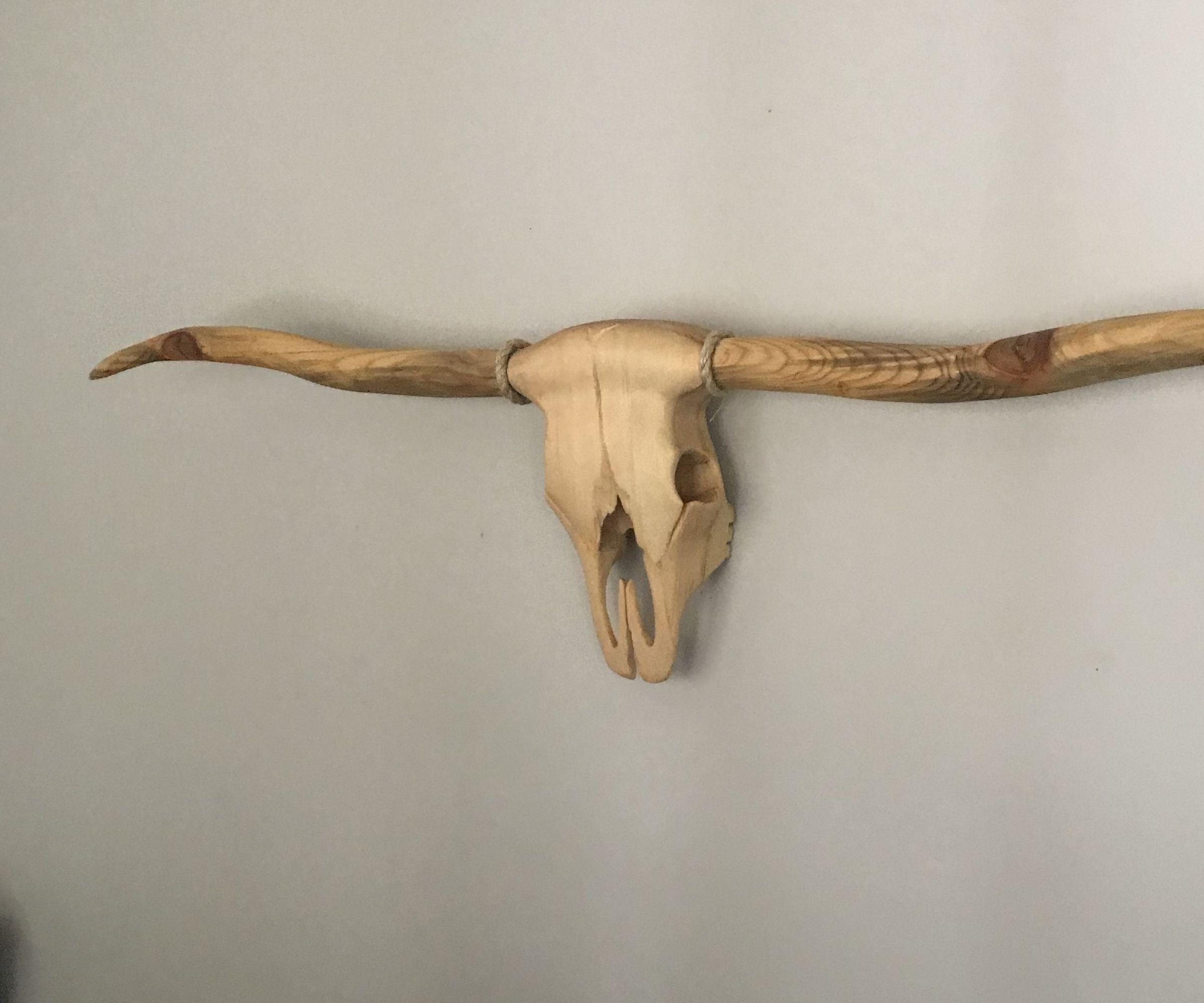Sculpting a Longhorn Steer Skull