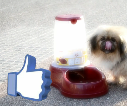 FEEDUINO ® LiKe 'n' feed a stray dog 