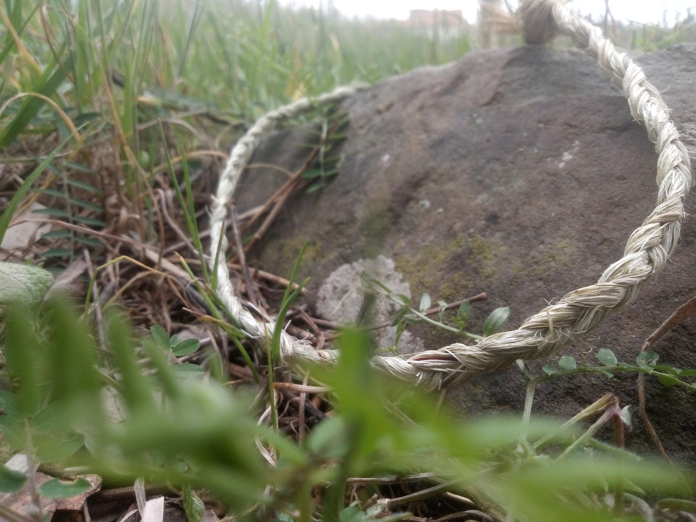 Natural Building Rope How to Make Rope With Natural Plant Fibers : 6 Steps (with Pictures ...