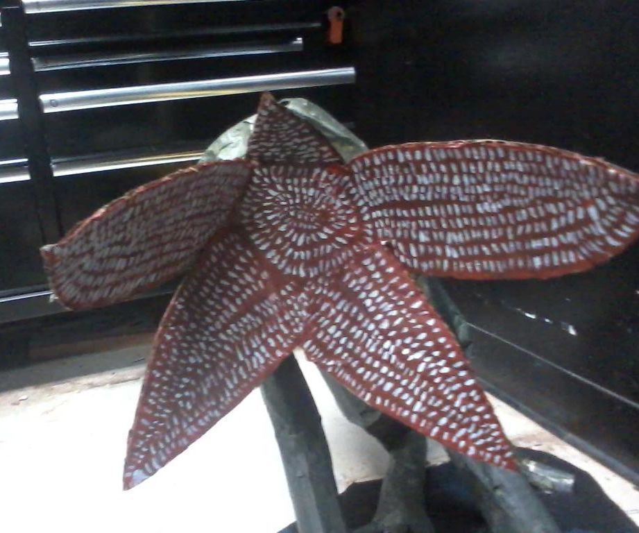 Faux Dart the Demodog