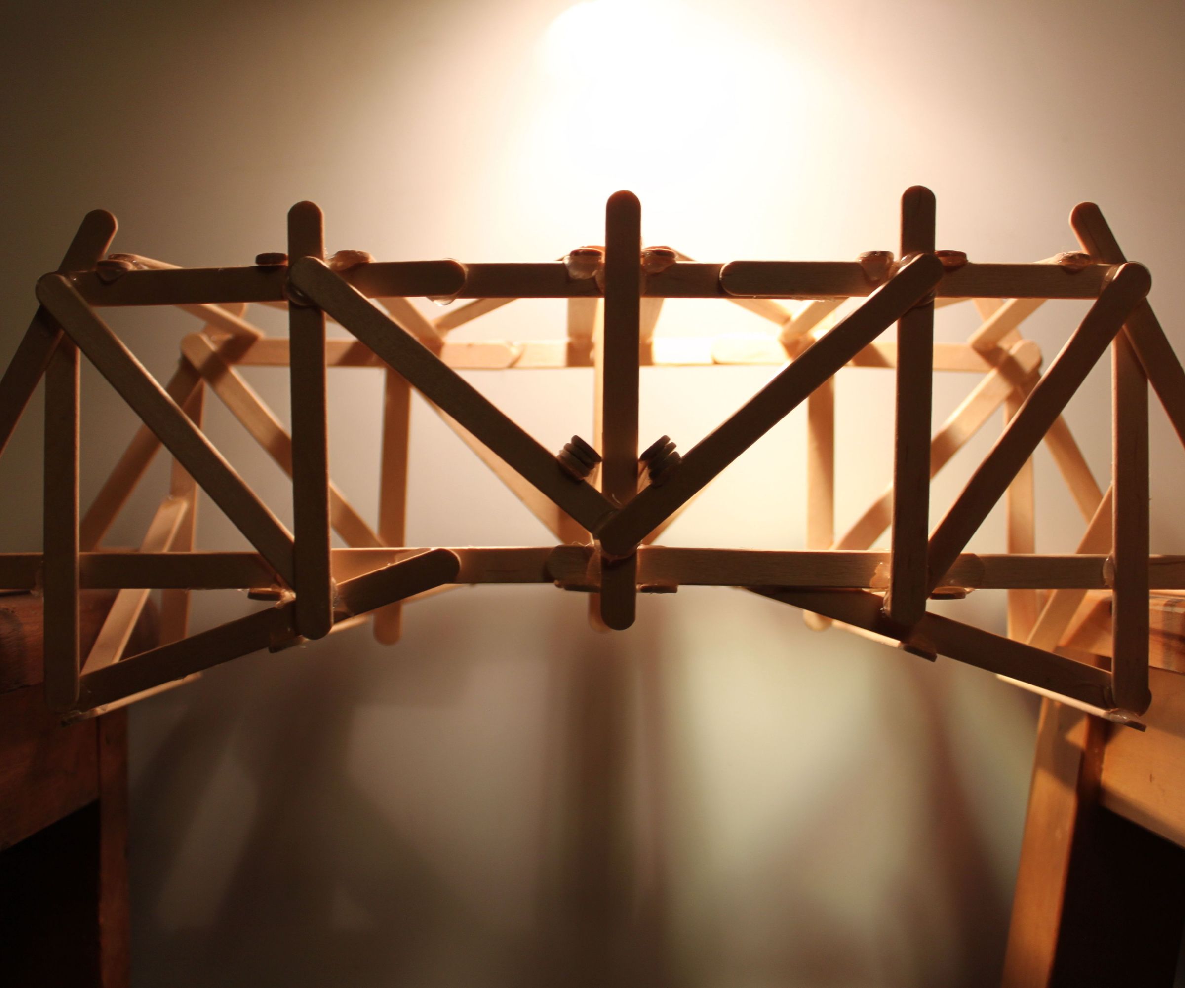 The STEM Bridge Challenge!!!