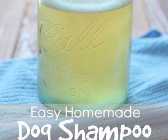 Homemade Dog Shampoo 