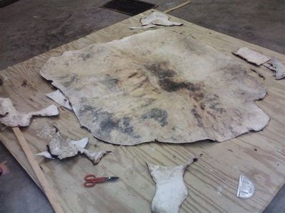 How to Tan and Make a Cow Hide Dress : 12 Steps (with Pictures ...