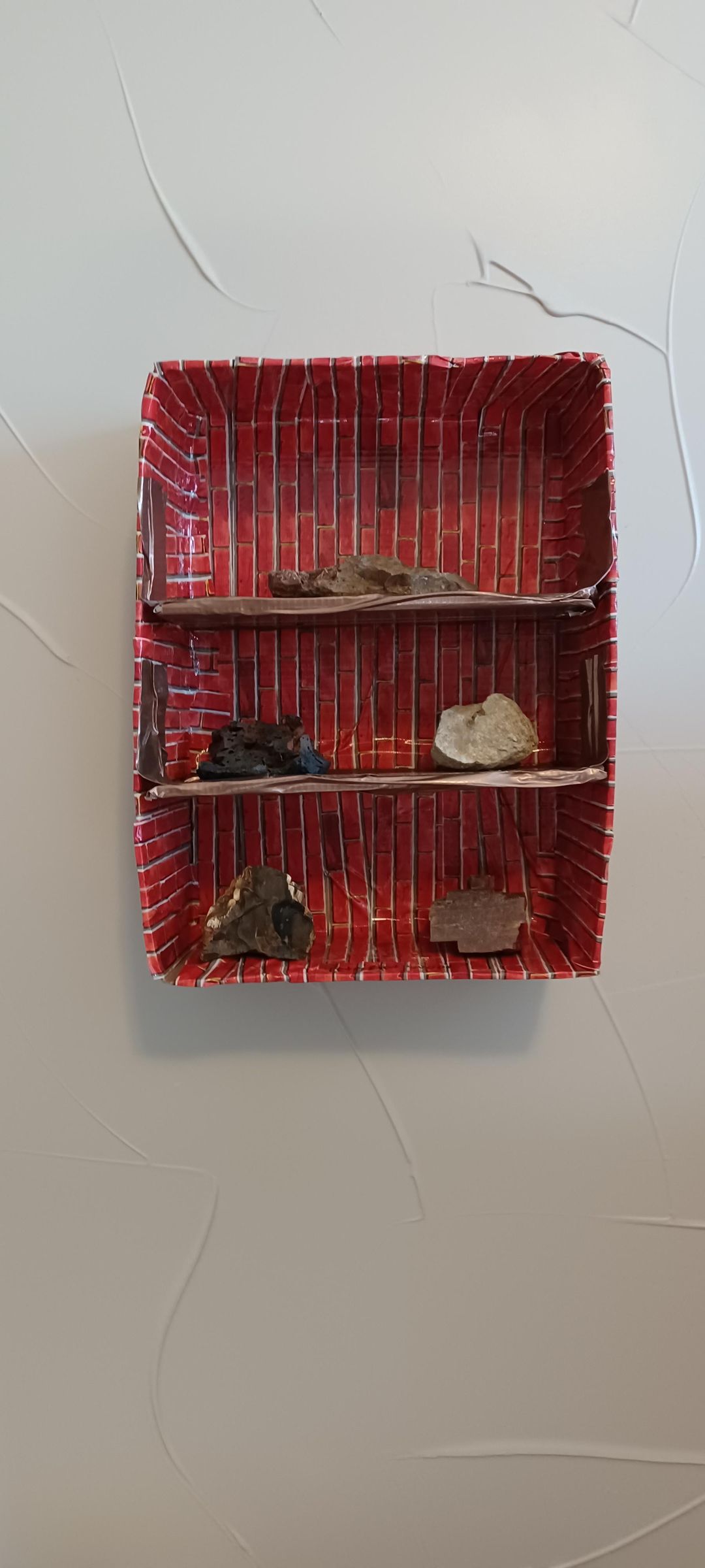 Rock Display Case