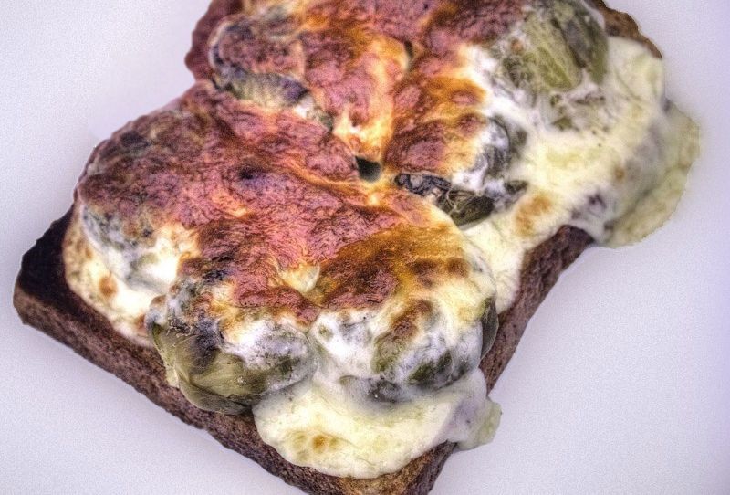 Cheese on Sprouts on Toast