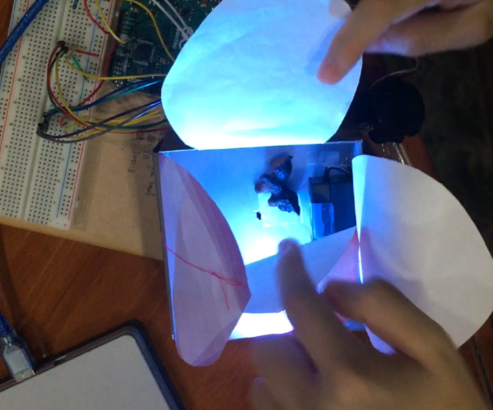 Arduino Blooming Gift Box