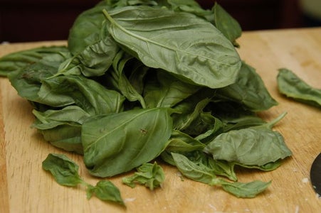 Basil Prep