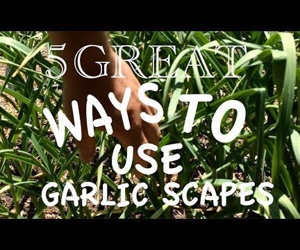 5 Creative (and Delicious) Uses for Garlic Scapes
