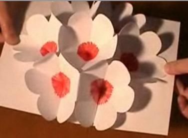 Seven Flowers. Awesome  Pop Up Card .