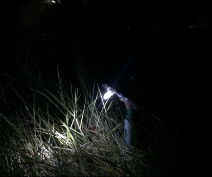 How to Make a Solar Garden Light