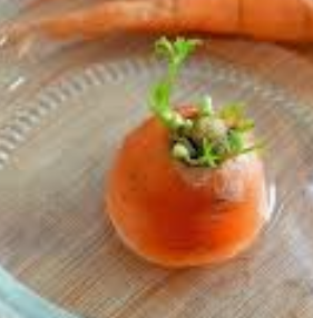 How to Regrow Kitchen Scraps