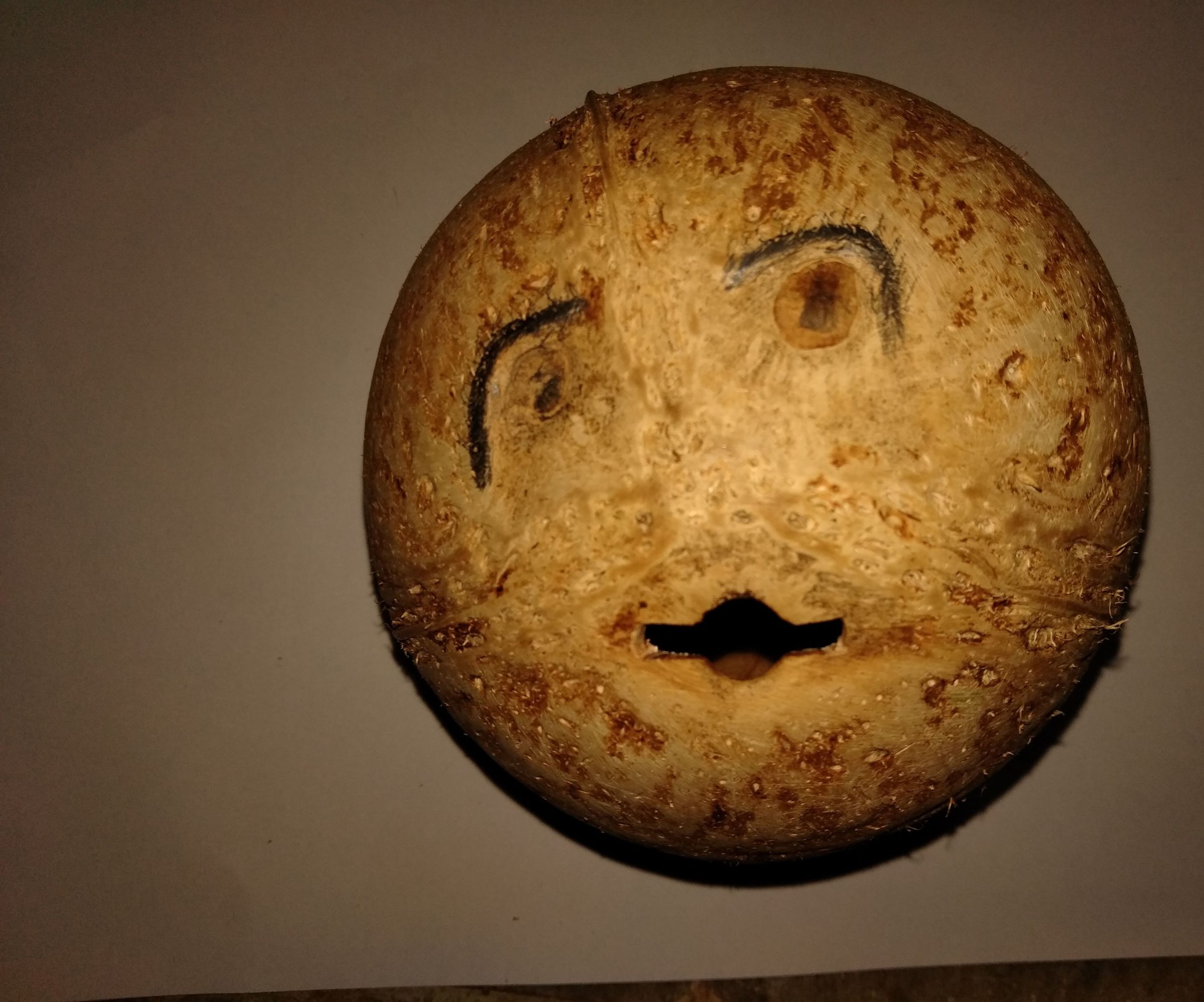 USEFUL THINGS USING COCONUT SHELL