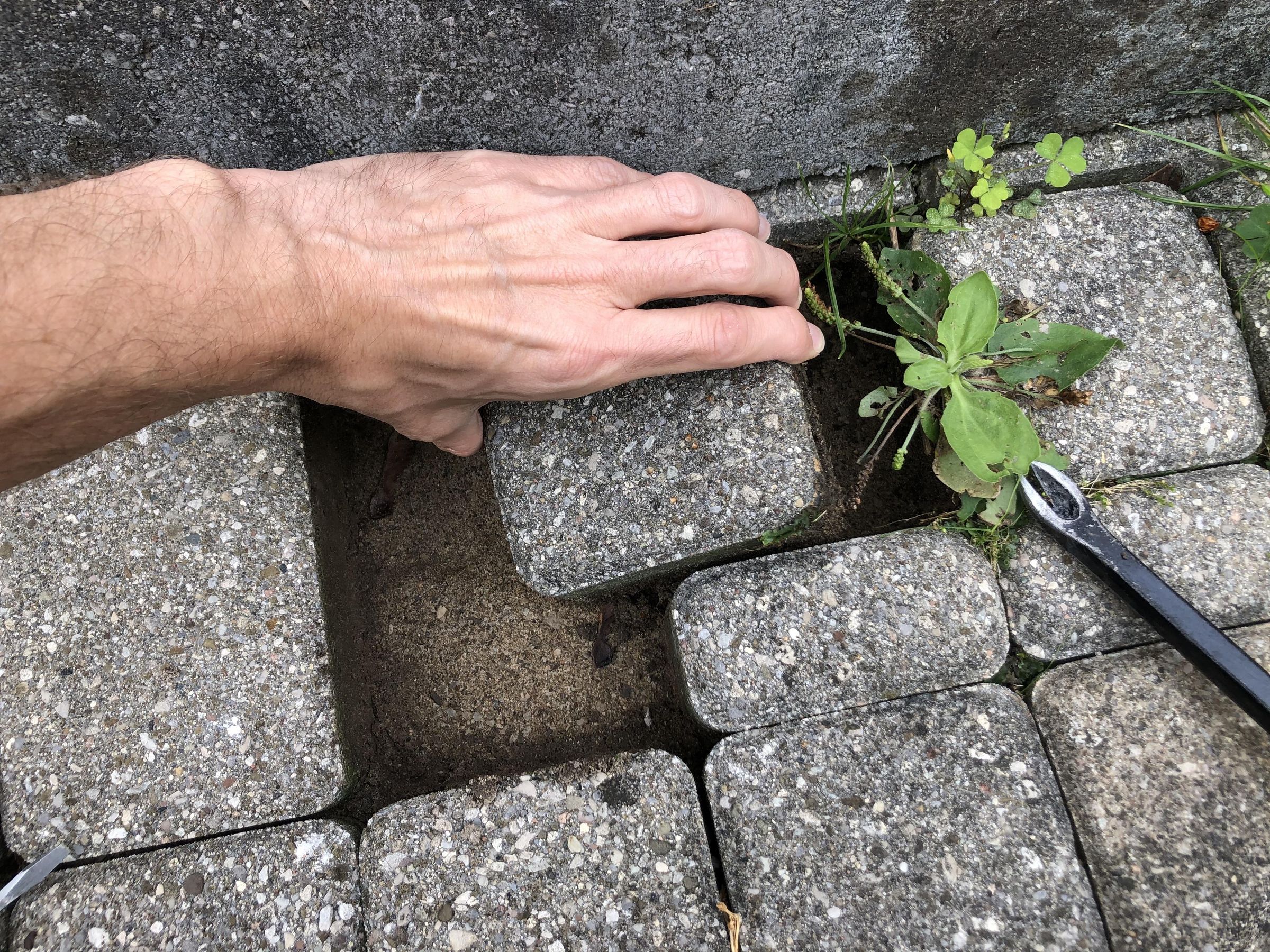 Repair Sunken Pavers 6 Steps (with Pictures) Instructables