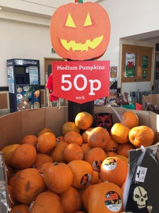 Picking Your Pumpkins.