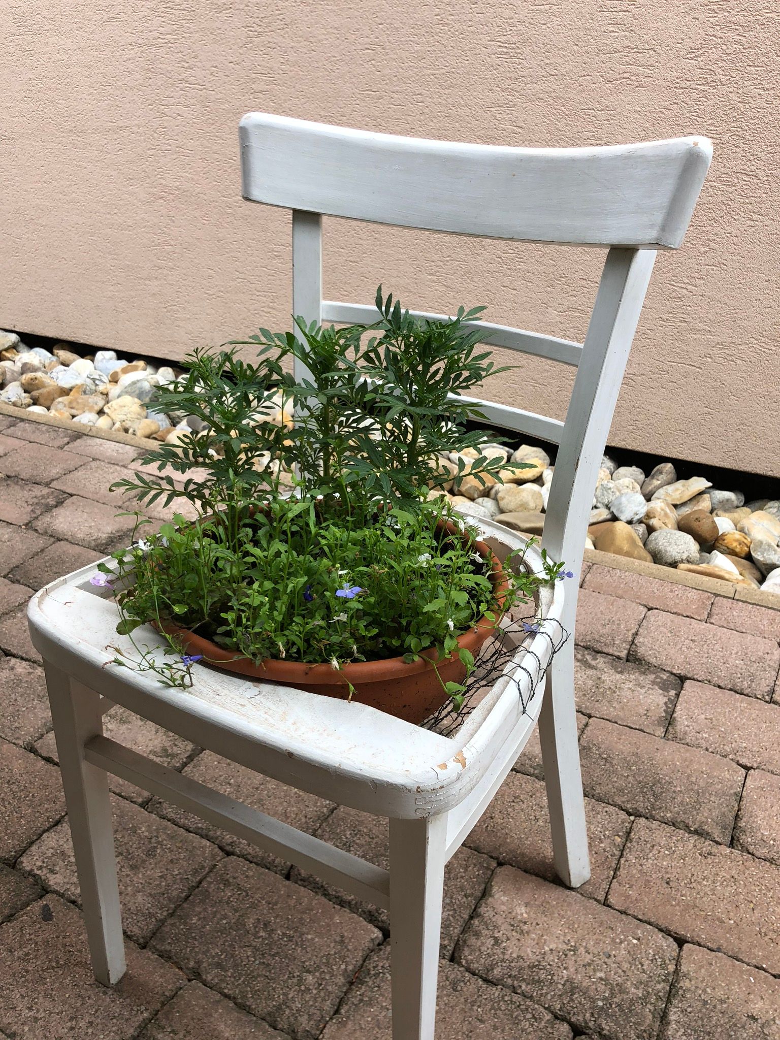 Garden Chair Flowers 3 Steps Instructables