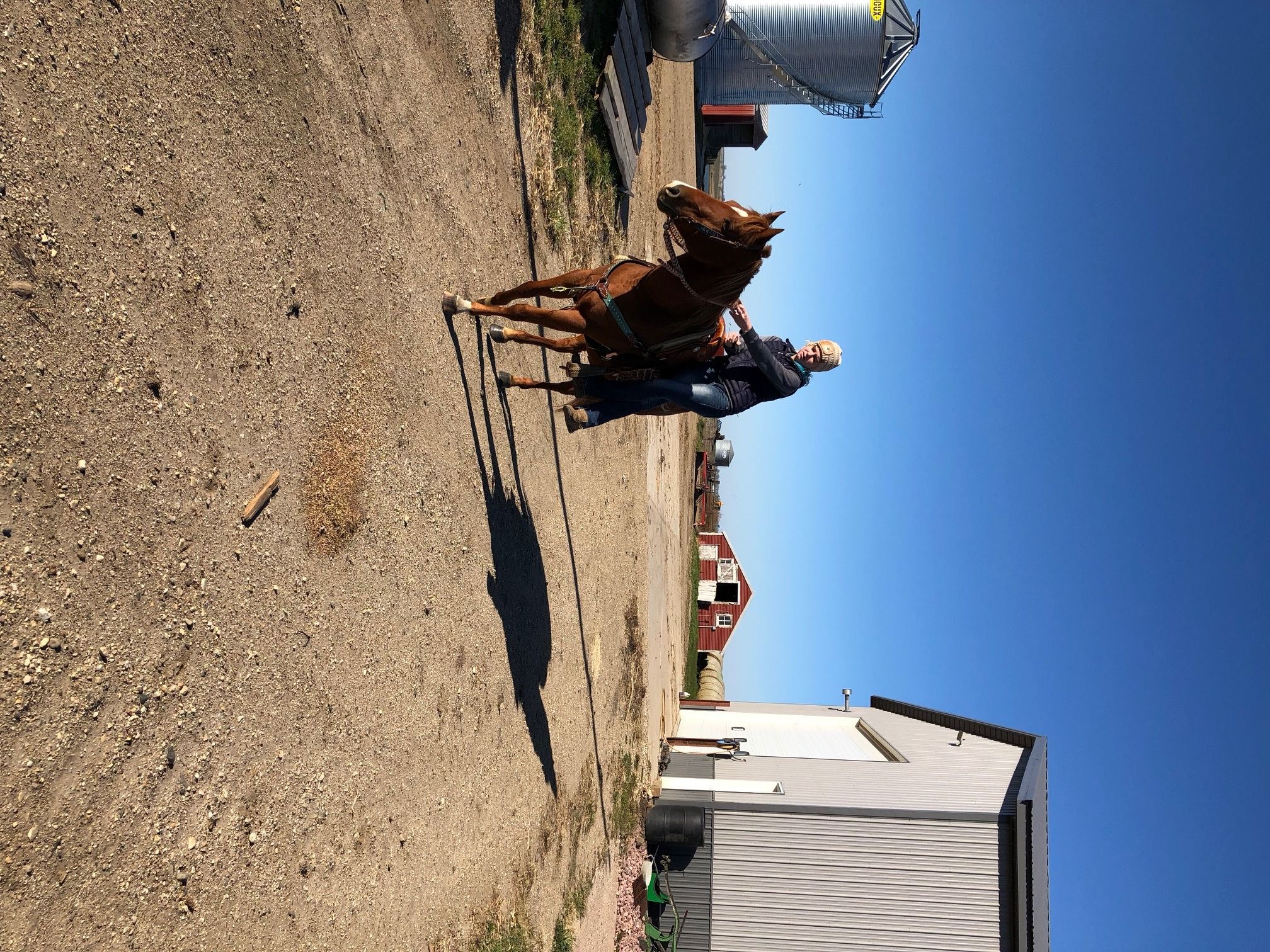 How to Goat Tie 4 Steps Instructables