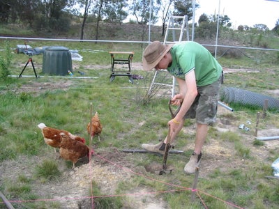 Fully-enclosed Crop-rotation Veggie Garden
