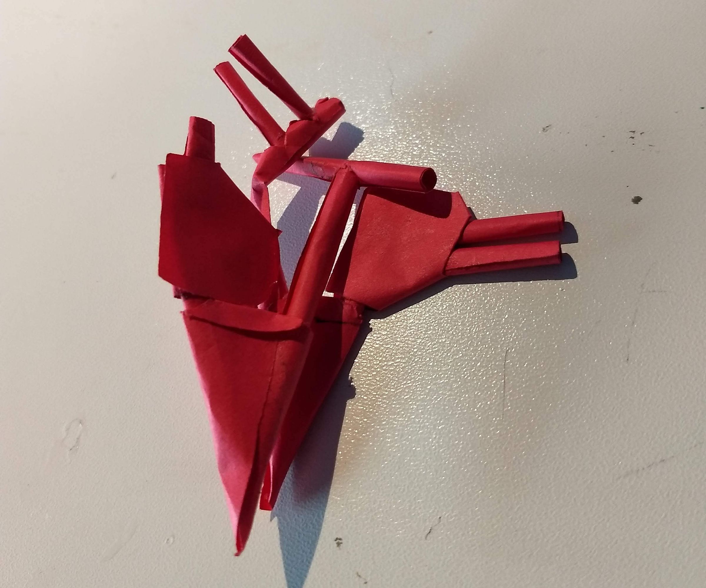 Anatomical Heart Puzzle