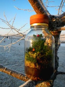 Christmas Terrarium Nighlight