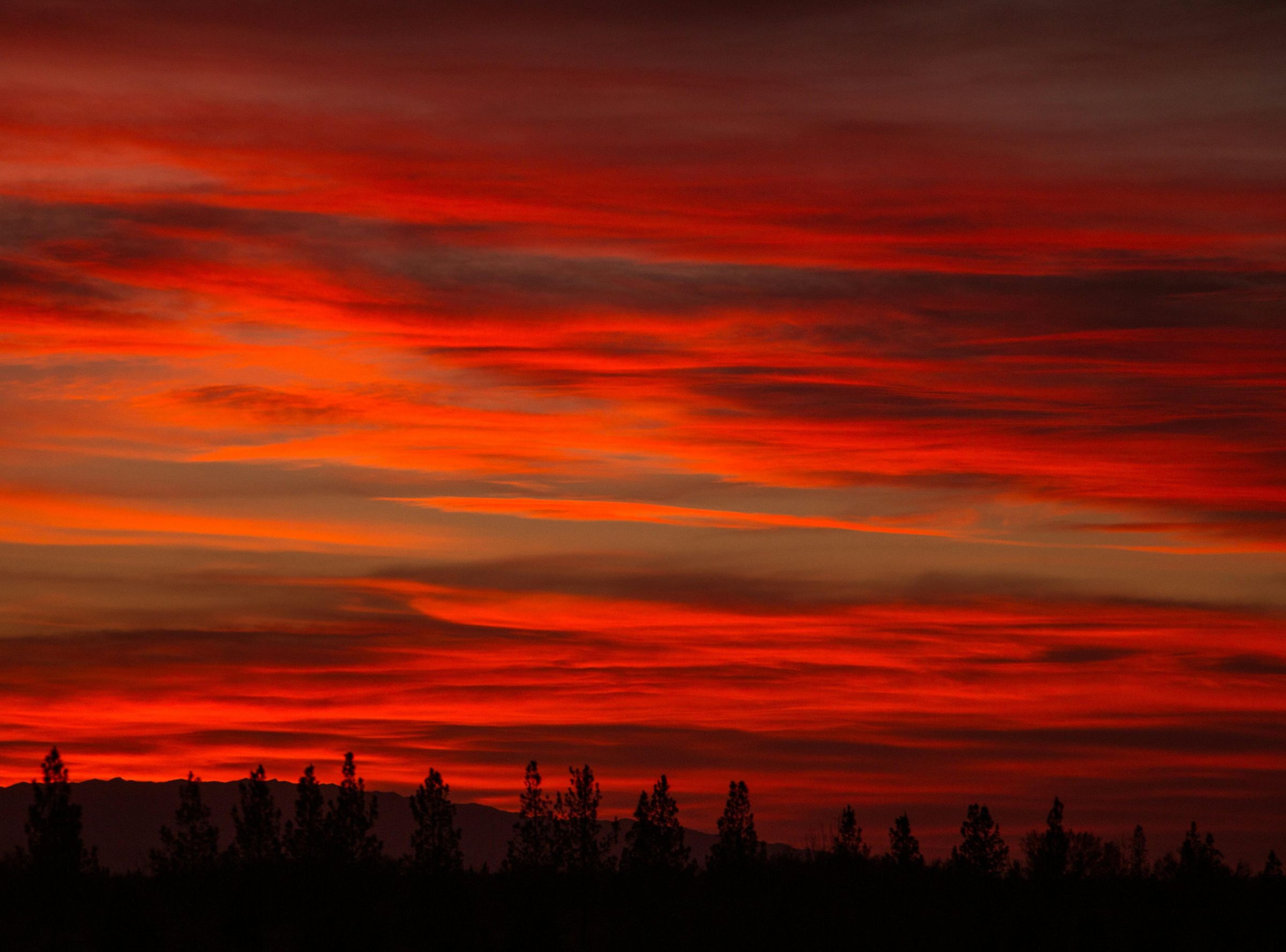 Microcontroller Reaction Time Game