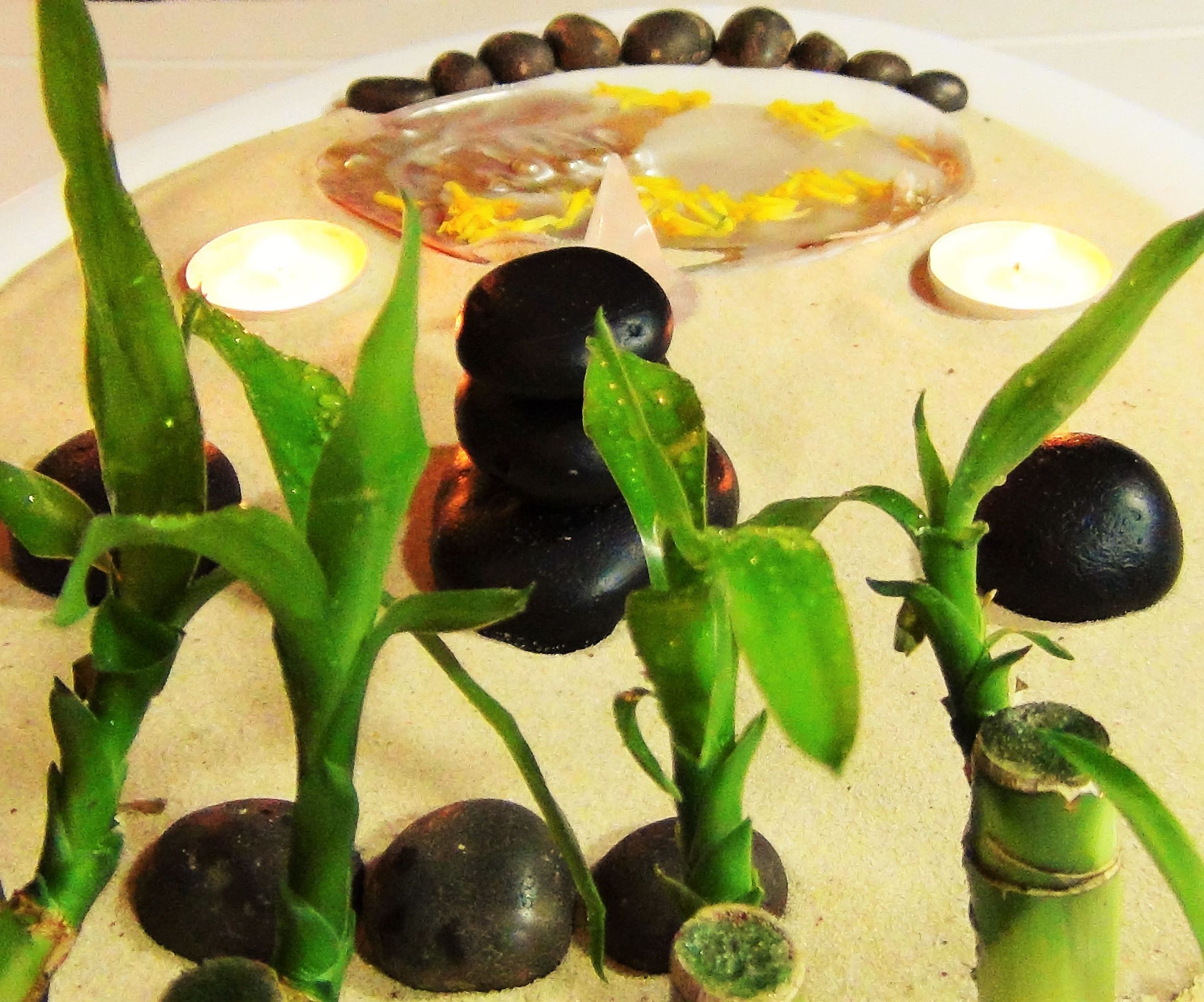 Zen Paradise Display for Your Home