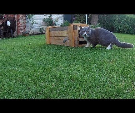 Trap on Cats and Marten