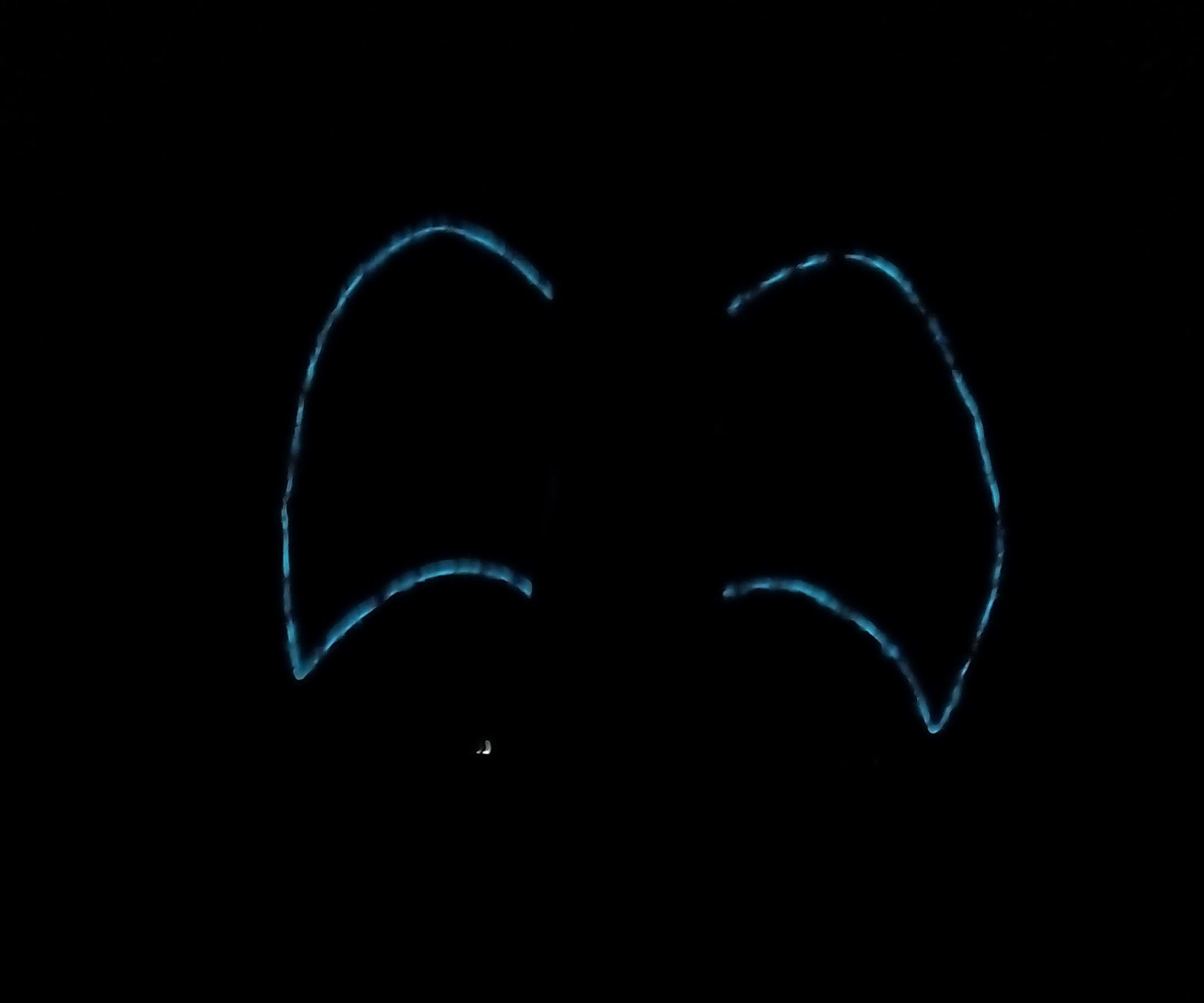 Angel Wings With El Wire