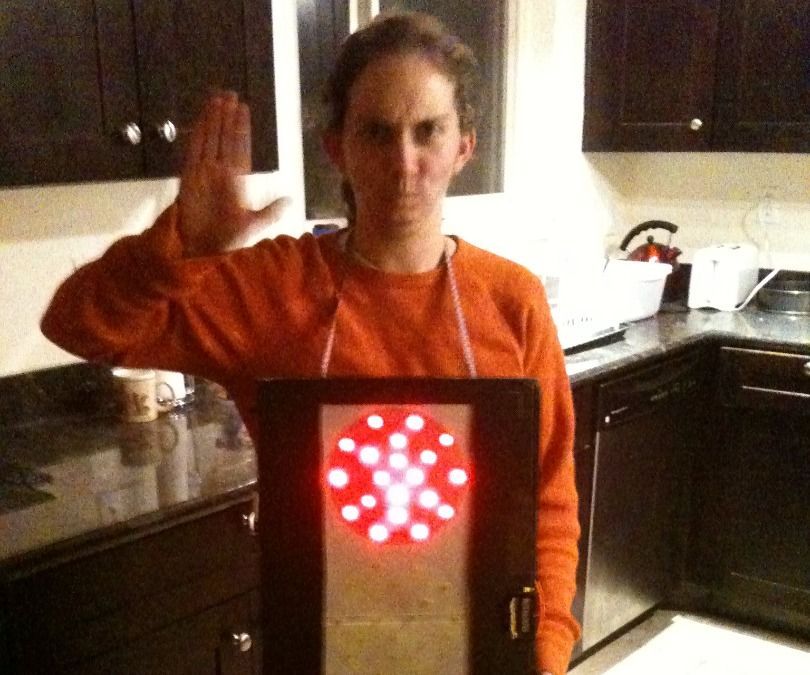 LED Stoplight Costume