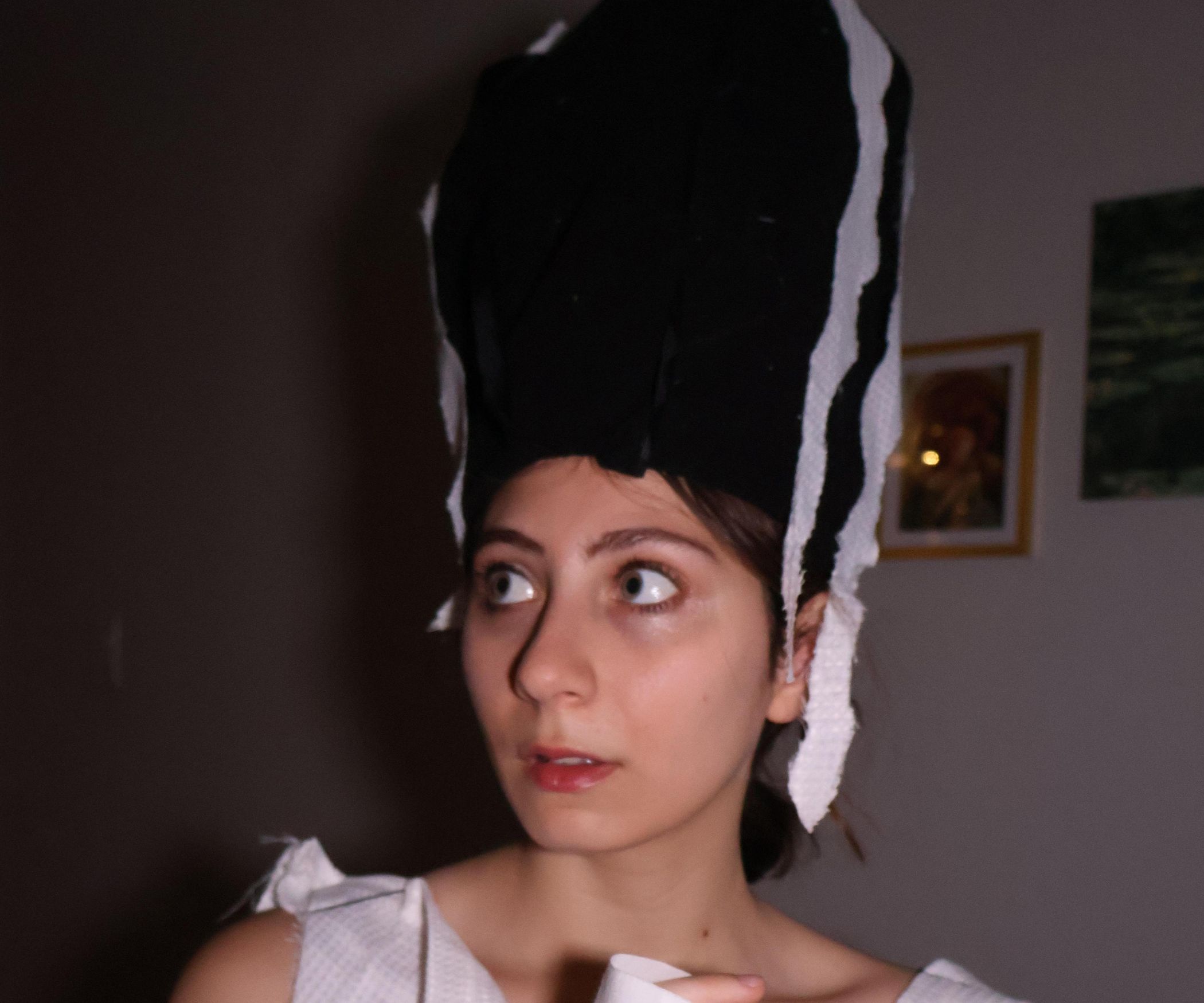 Bride Of Frankenstein Wig