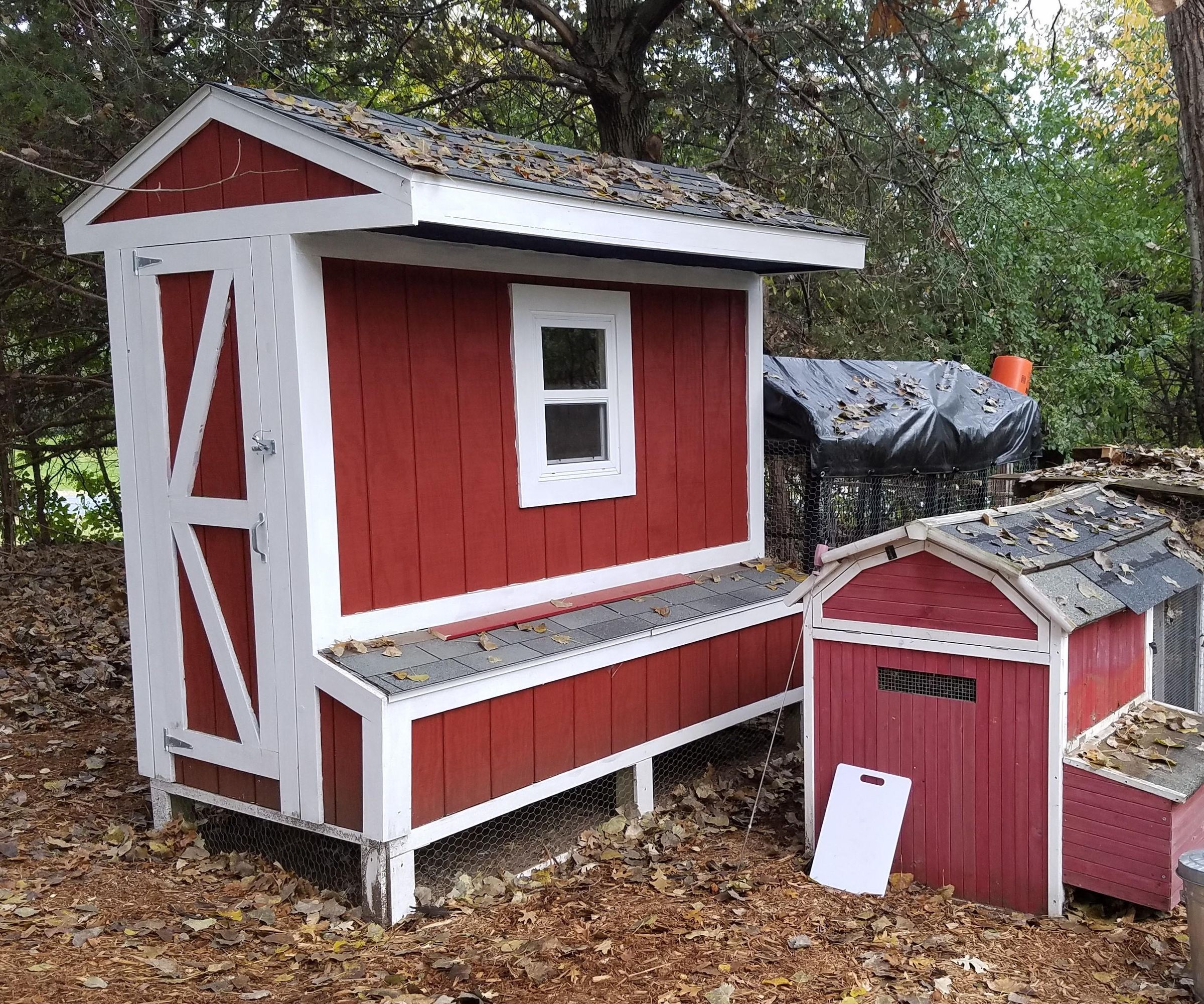4x8 Walk-in Chicken Coop