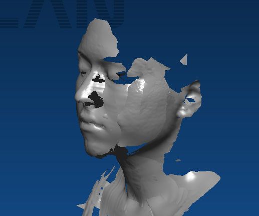 Preparing 3D Scans for 3D Printing, With Rhino and Netfabb Pro