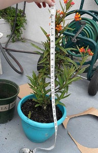 Netting Measurements and Assembly