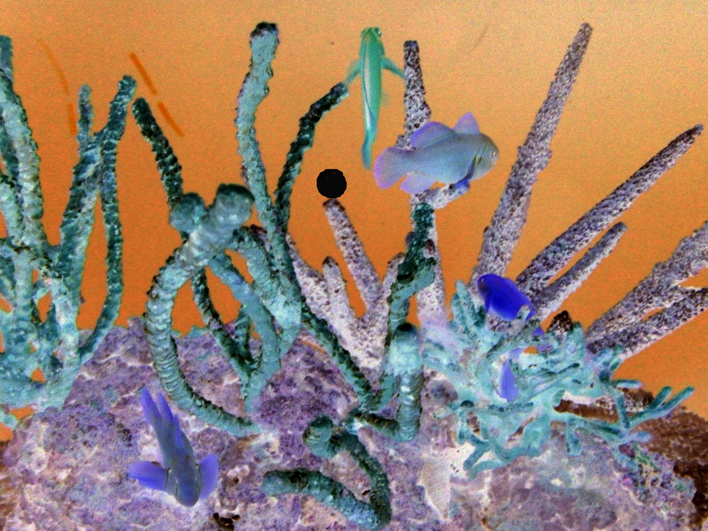 Optical Illusion Create One With Any Color Photo 6 Steps (with