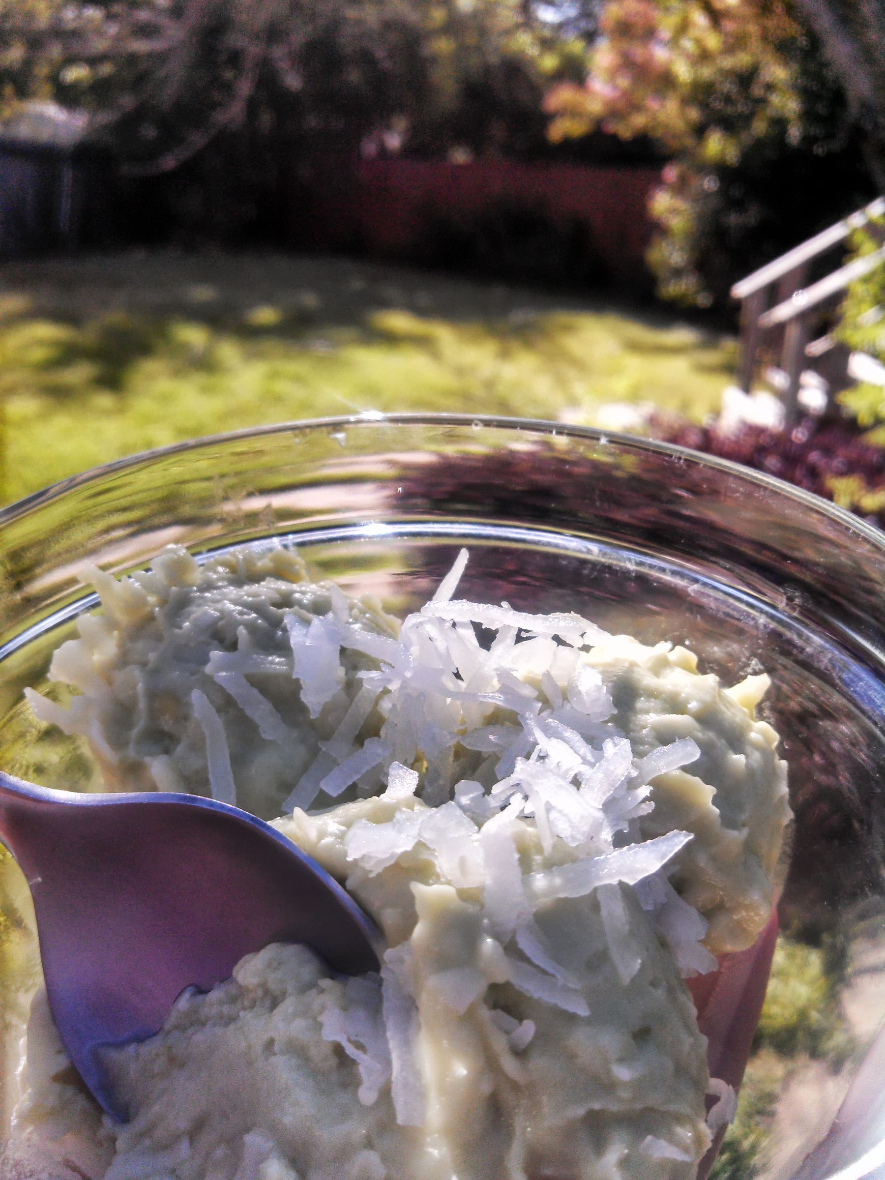 Avocado Coconut Ice Cream (No Machine) 4 Steps Instructables