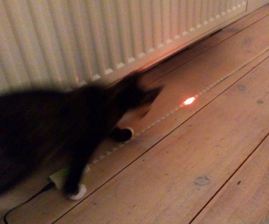 Arduino Nano LED Strip Cat Toy
