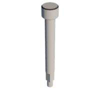 download {{ file.name }}