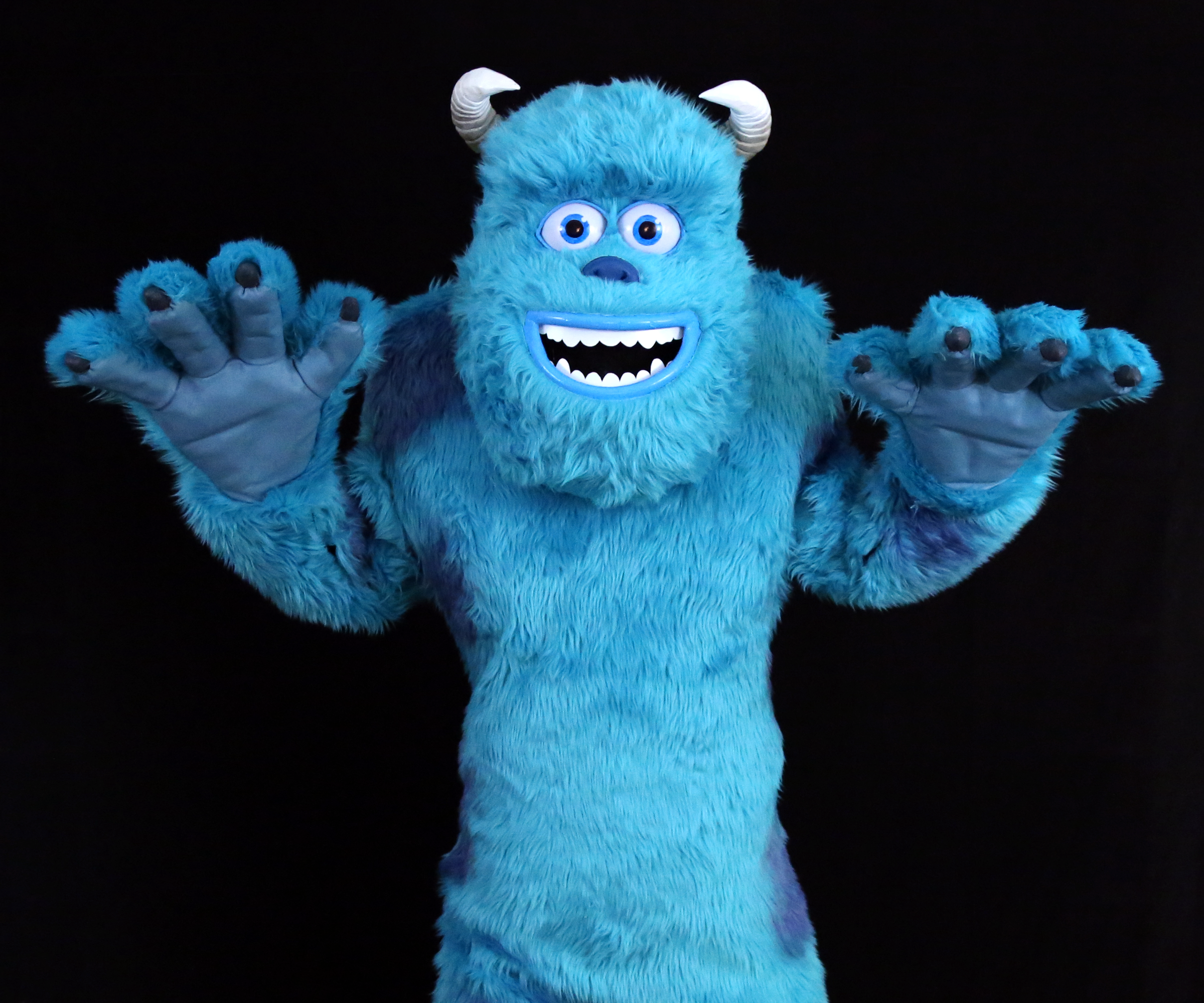 Sully From Monsters Inc