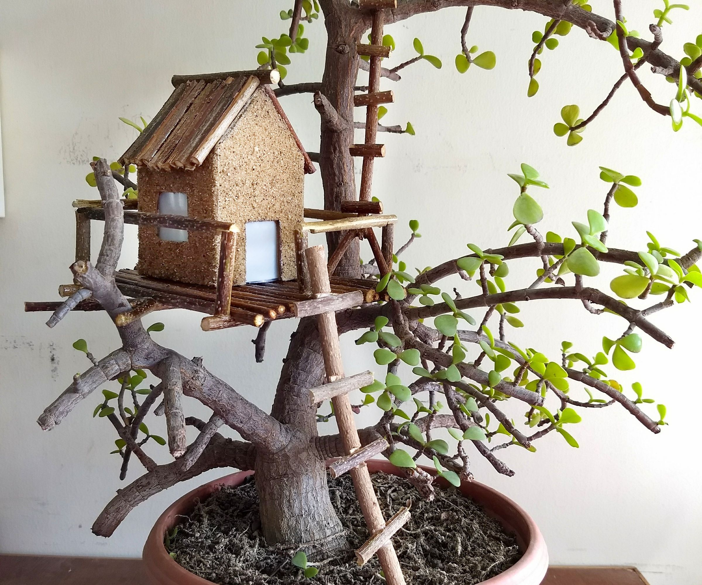 Bonsai Mini Lighted Rustic Tree House 