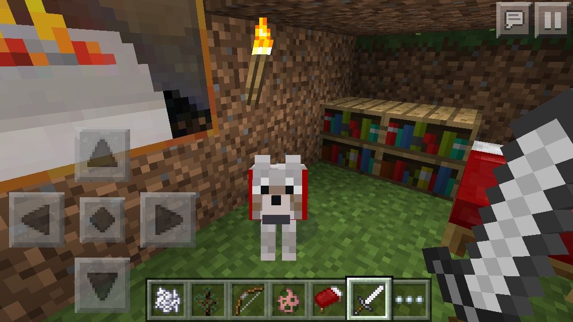 Wolf Training Minecraft P.E!
