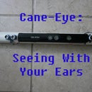 Using Sonar, Lidar, and Computer Vision on Microcontrollers to Aid the Visually Impaired