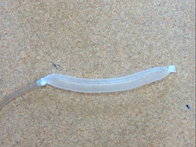 Testing the Actuators