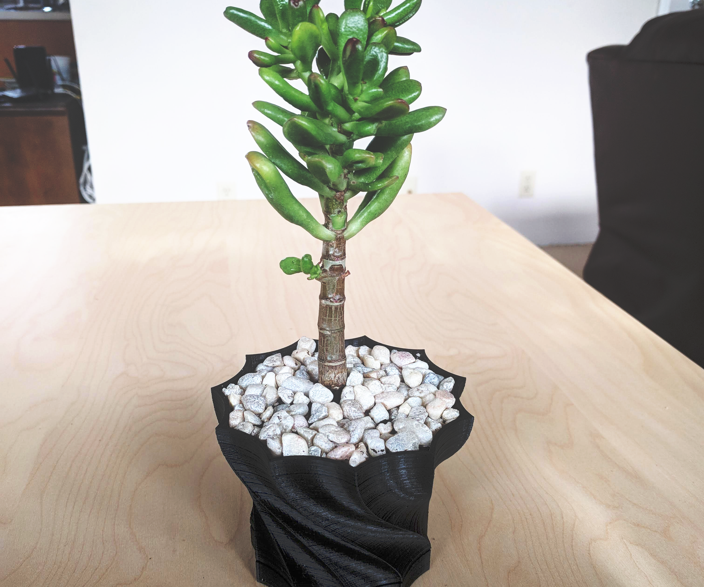 Twisted Succulent Planter