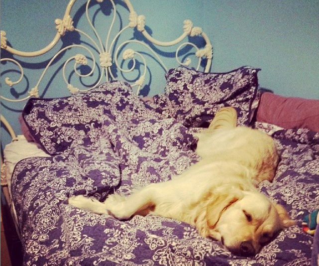 How to Save Your Bed
