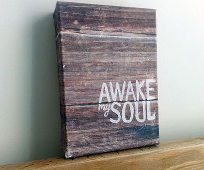 Barn Board (Canvas) Wall Art