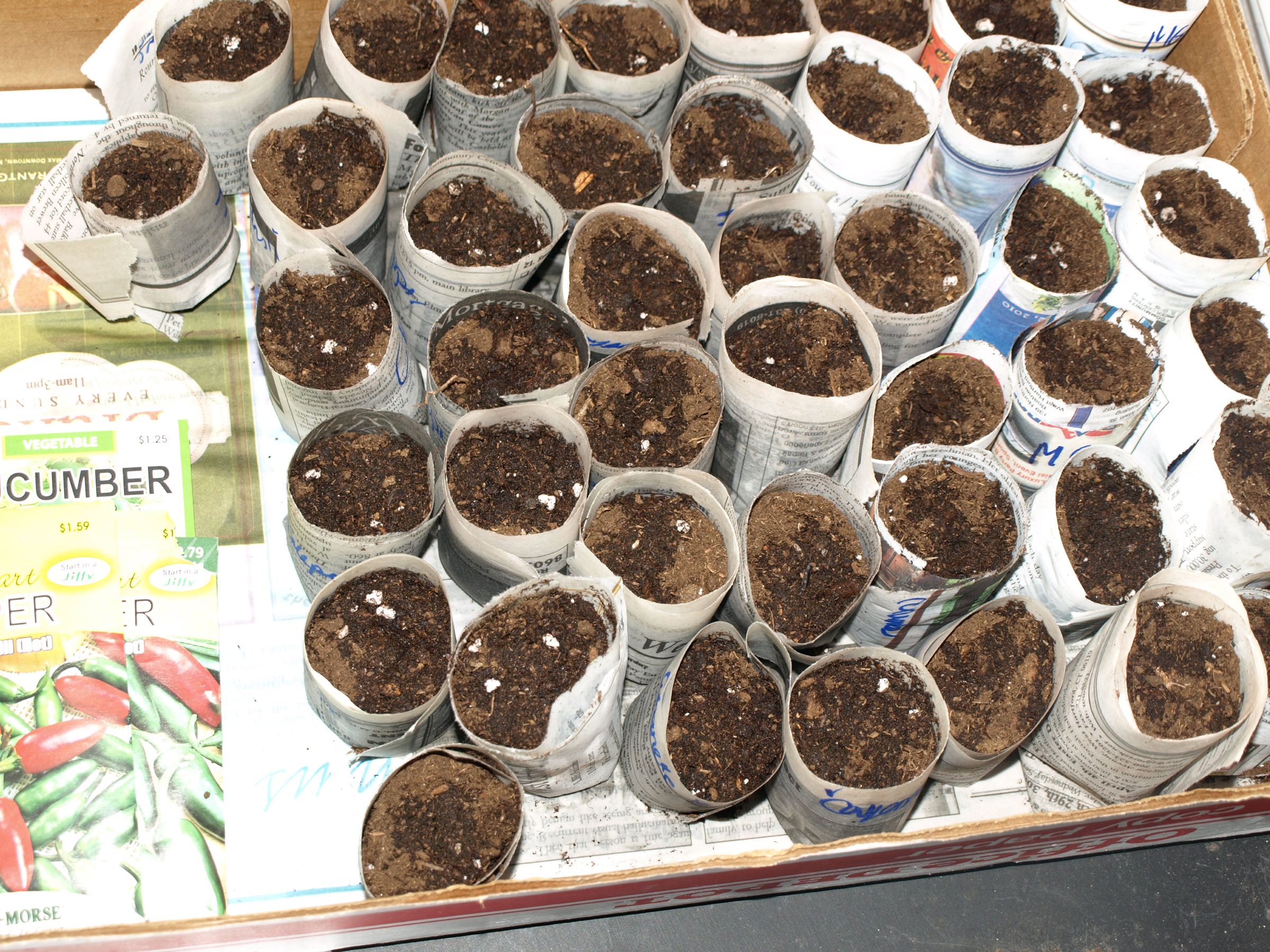Biodegradable Seed Starters From Newspaper (another Way)