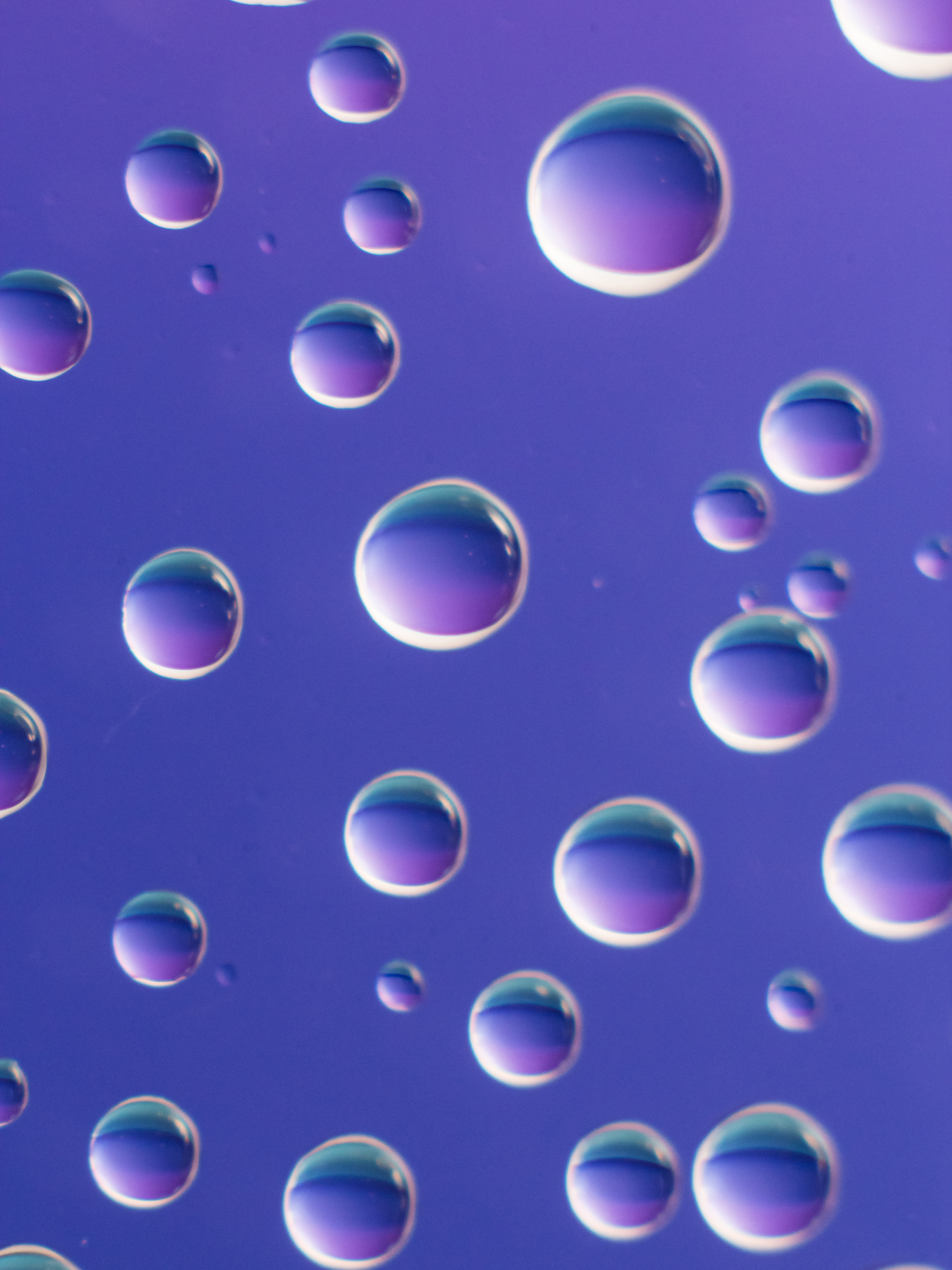 Water Droplet Macro Photography