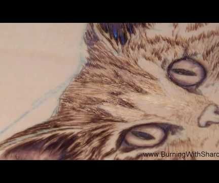 Pyrography: How to Woodburn a Realistic Cat Nose